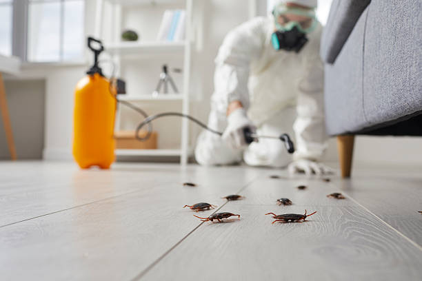Trusted Rodent Control service in Knightstown, IN - Nex Pest Control