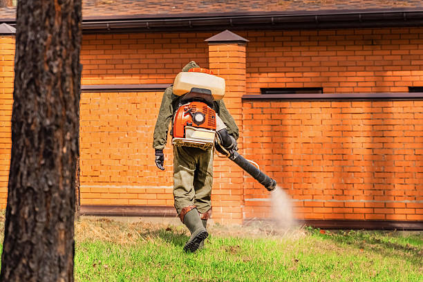 Trusted Emergency Pest Control service in Knightstown, IN - Nex Pest Control